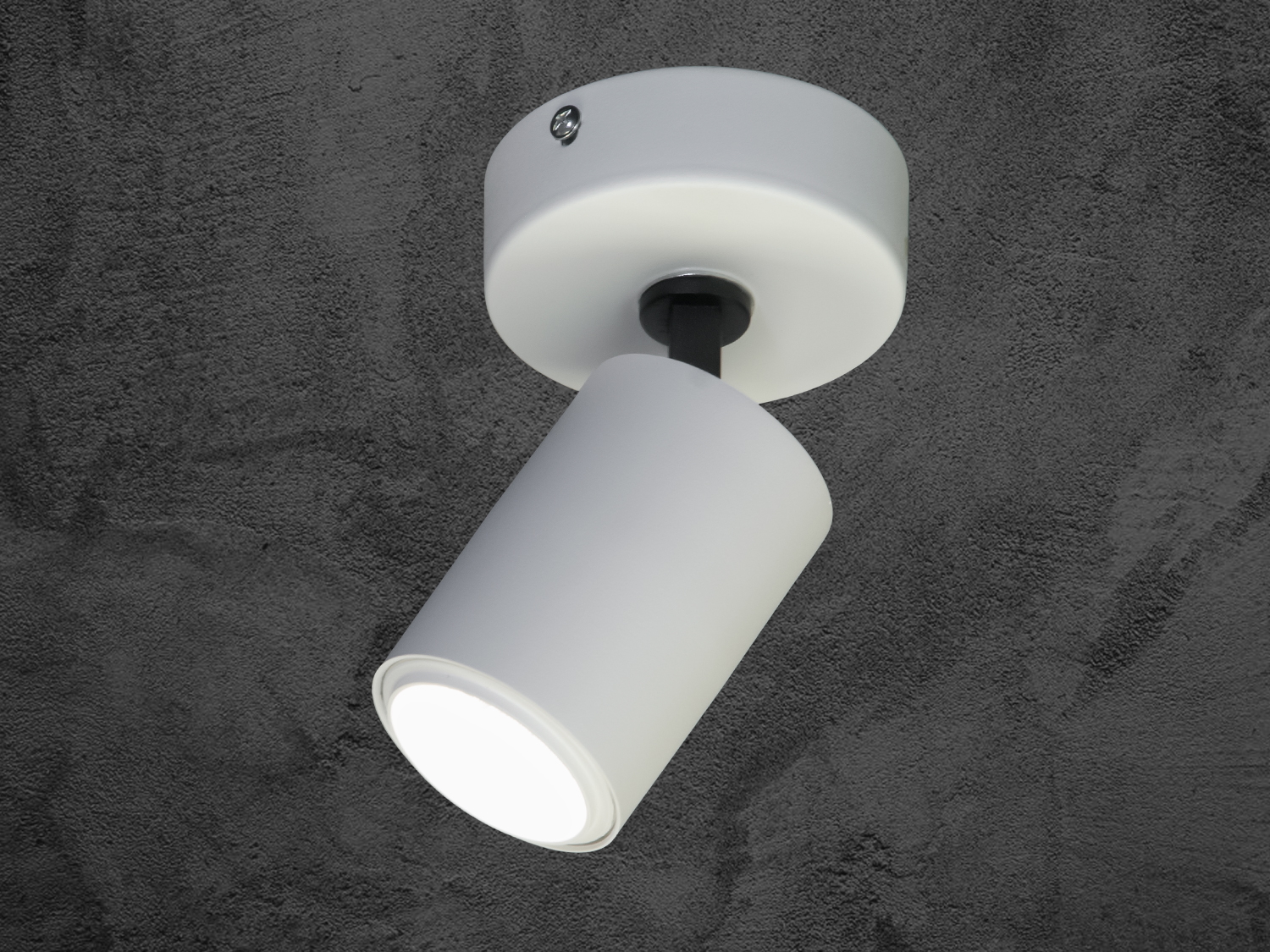 Світильник циліндричної форми з регульованим кутом нахилу, підходить для акцентного освітлення.