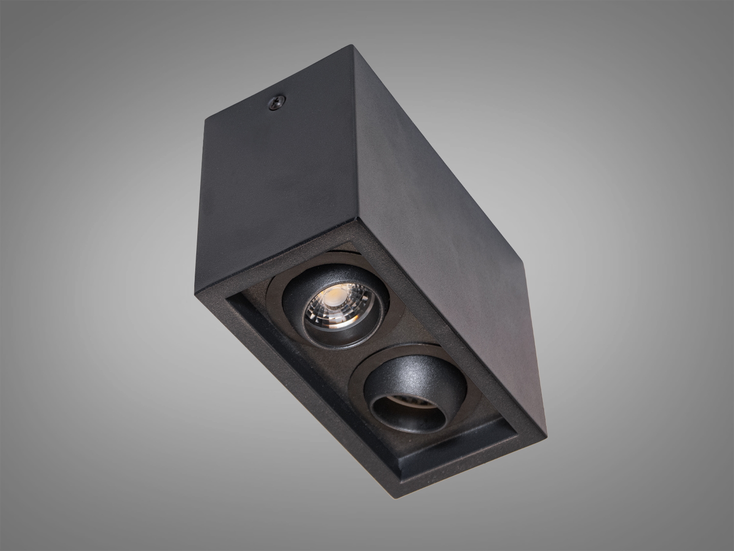 Стельовий світильник чорного кольору з двома лампами, виконаний у мінімалістичному стилі. Ідеально підходить для монтажу в офісах.