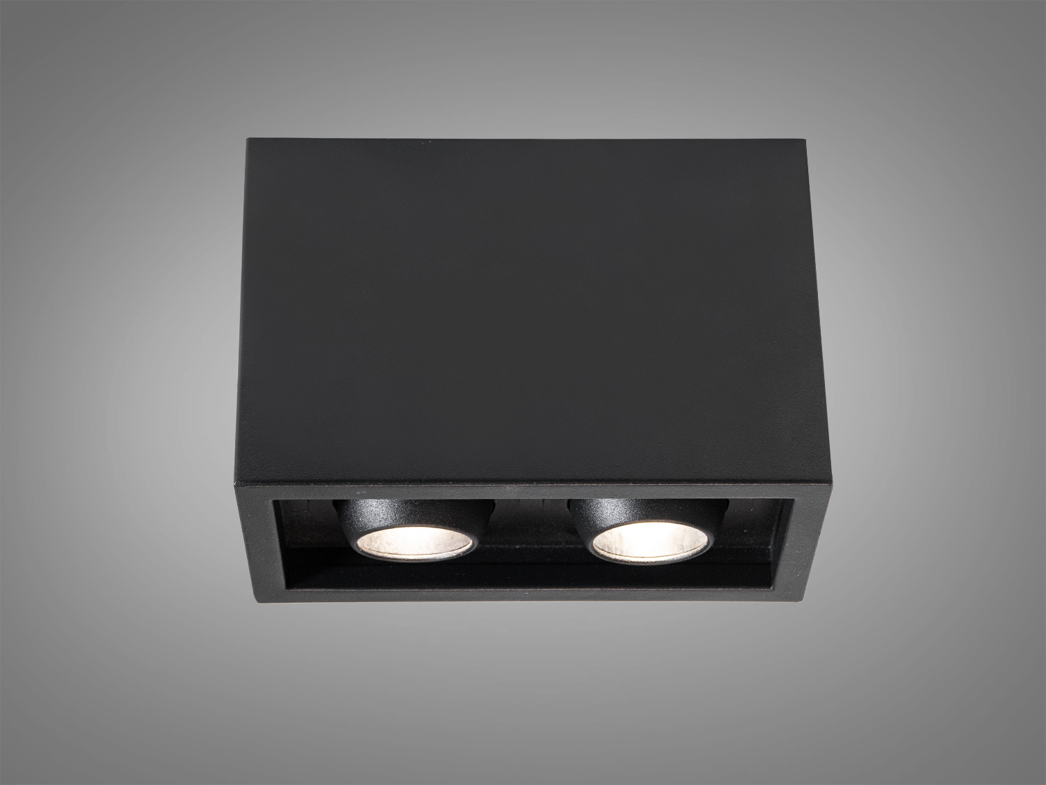 Квадратний чорний світильник з двома лампами, підходить для стельового монтажу. Забезпечує спрямоване освітлення в житлових приміщеннях.