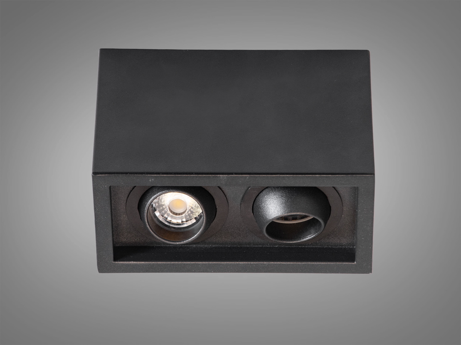 Стельовий світильник Diasha 136G-2 чорний з двома лампами