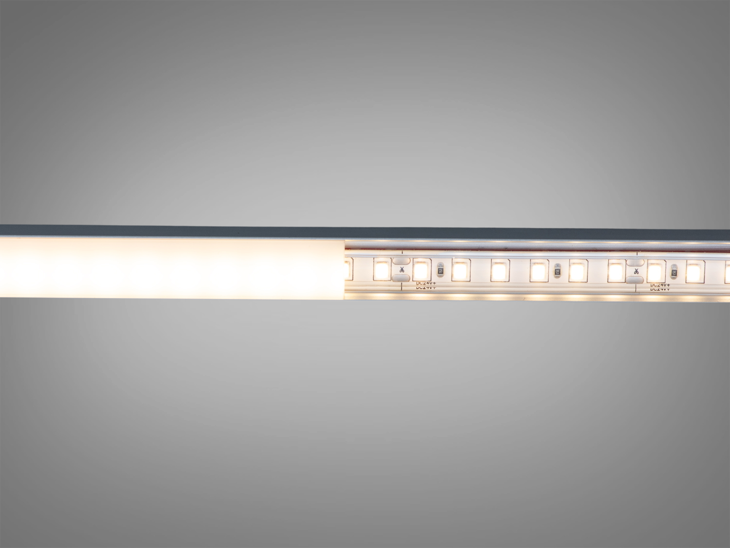 LED стрічка 24В, 120 шт/м, герметична, 8мм, теплий