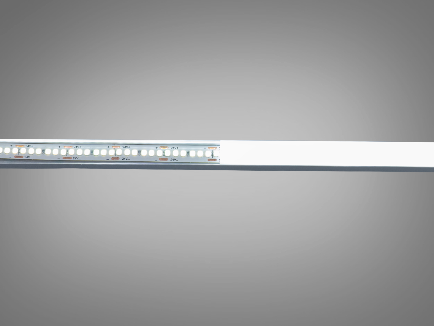 LED стрічка 24в, 240 діодів на метр, 10мм, холодний